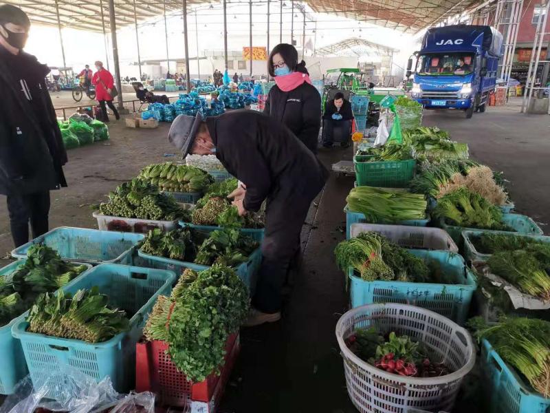 3月9日,一车车的蚕豆在江桥蔬菜批发市场主干道一字排开.
